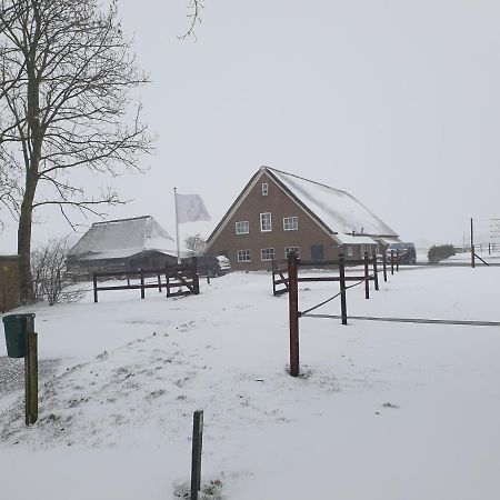 Landelijk gelegen boerderij aan de Pothofweg Appartement Anevelde Buitenkant foto