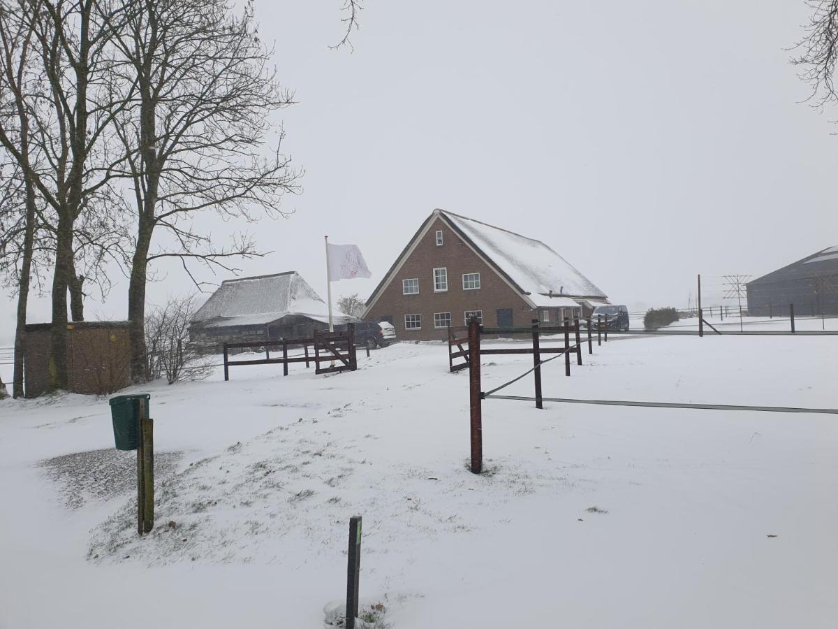 Landelijk gelegen boerderij aan de Pothofweg Appartement Anevelde Buitenkant foto
